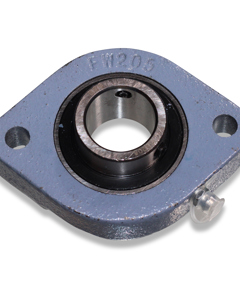 Flange bearing cast iron dia25 2hole